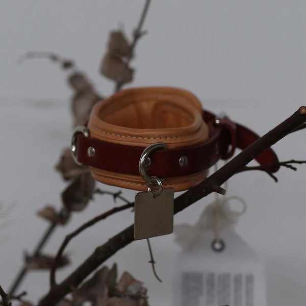 Guidi dog collar CL01 PG3